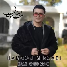 Hamoon Mirzaei – Hale Khoobe Mani