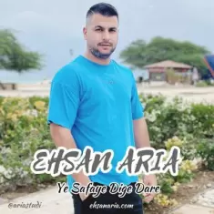 دانلود آهنگ احسان آریا به نام یه صفای دیگه داره