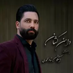 دانلود آهنگ اشکان شاه محمدی به نام دامن کشان