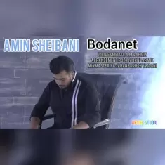دانلود آهنگ امین شیبانی به نام بودنت