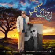 دانلود آهنگ ایرج به نام ایرج برای گلپا
