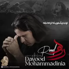 دانلود آهنگ داوود محمدی نیا به نام رود