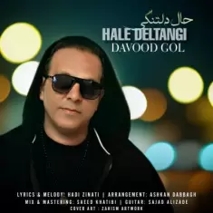 دانلود آهنگ داوود گل به نام حال دلتنگی