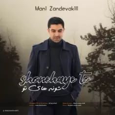 دانلود آهنگ مانی زندوکیلی به نام شونه های تو