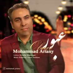 دانلود آهنگ محمد آریانی به نام عبور