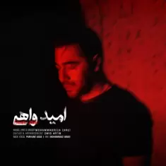 دانلود آهنگ محمدرضا زارعی به نام امید واهی