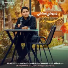 دانلود آهنگ مهدی عبدلی به نام الهه ناز