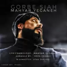 دانلود آهنگ مهیار یگانه به نام گربه سیاه