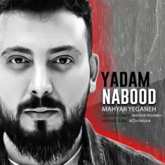 دانلود آهنگ مهیار یگانه به نام یادم نبود