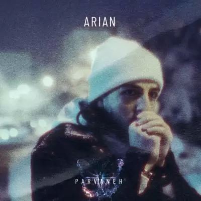 Arian Vahidi Parvaneh