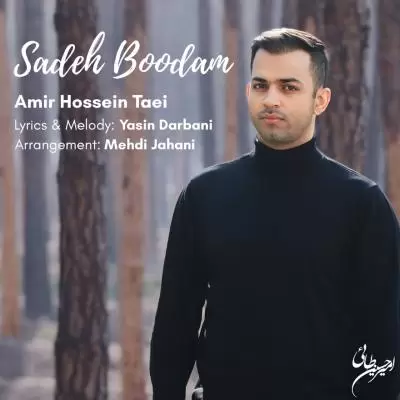 Amir Hossein Taei Sadeh Boodam Amir Hossein Taei Sadeh Boodam