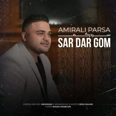 Amir Ali Parsa Sardargom Amir Ali Parsa Sardargom