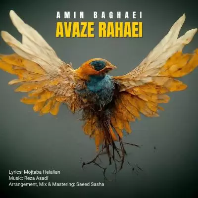 Amin Baghaei Avaze Rahaei Amin Baghaei Avaze Rahaei