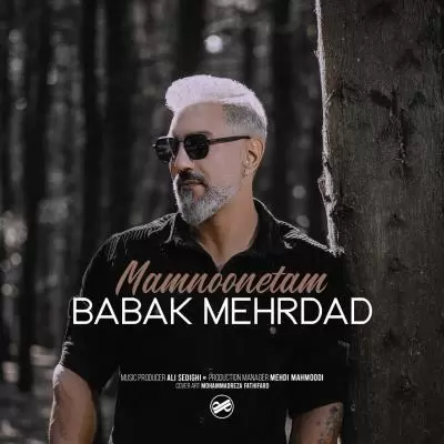Babak Mehrdad Mamnoonetam Babak Mehrdad Mamnoonetam