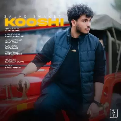 Sajad Shakeri Kooshi Sajad Shakeri Kooshi
