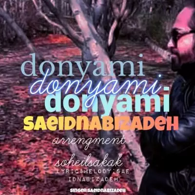 Saeid Nabizadeh Donyami Saeid Nabizadeh Donyami