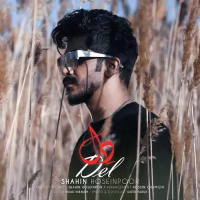 Shahin Hoseinpoor Del Shahin Hoseinpoor Del
