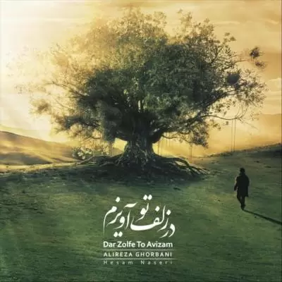 Alireza Ghorbani Dar Zolfe To Avizam Alireza Ghorbani Dar Zolfe To Avizam