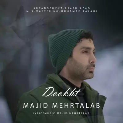 Majid Mehrtalab Dookht Majid Mehrtalab Dookht