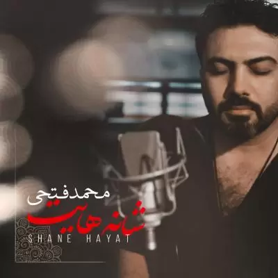 Mohamad Fathi Shanehayat Mohamad Fathi Shanehayat