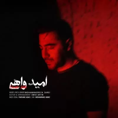 Mohammadreza Zarei Omide Vahi Mohammadreza Zarei Omide Vahi