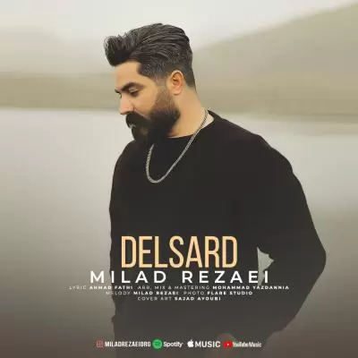 Milad Rezaei Delsard Milad Rezaei Delsard
