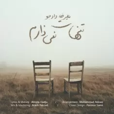 دانلود آهنگ علیرضا دادجو به نام تنهات نمی ذارم