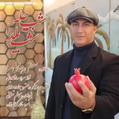 دانلود آهنگ مصطفی دهقانی صبا به نام شب چله شب یلدا