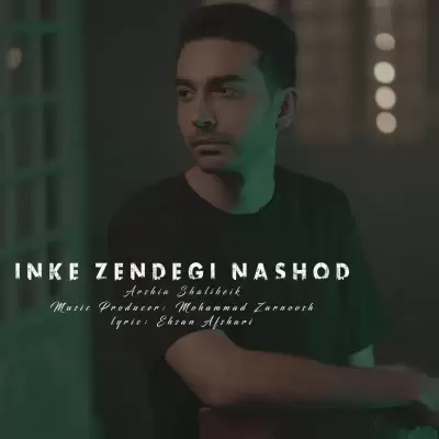 Arshia Shalibeik In Ke Zendegi Nashod