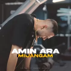 Amin Ara – Mijangam