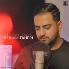 Behnam Taheri – Gharibeh Shodi