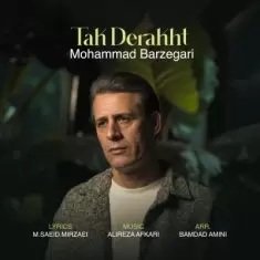 Mohammad Barzegari – Tak Derakht