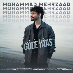 Mohammad Mehrzaad – Gole Yaas