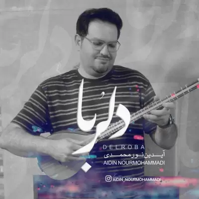 Aidin Nourmohammadi Delroba Aidin Nourmohammadi Delroba