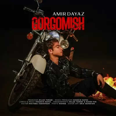 Amirdayaz Gorgo Mish