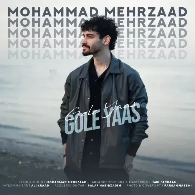 Mohammad Mehrzaad Gole Yaas