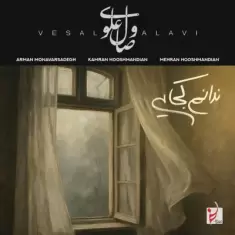 Vesal Alavi – Nadanam Kojaei