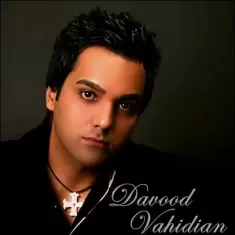 Davood Vahidian – Male Man Bash