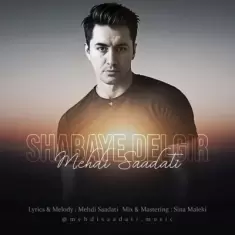 Mehdi Saadati – Shabaye Delgir